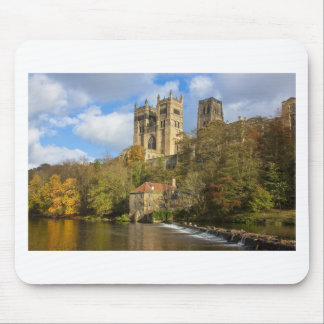 Durham Cathedral Muismat