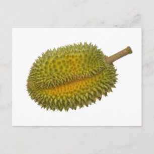 Durian Briefkaart