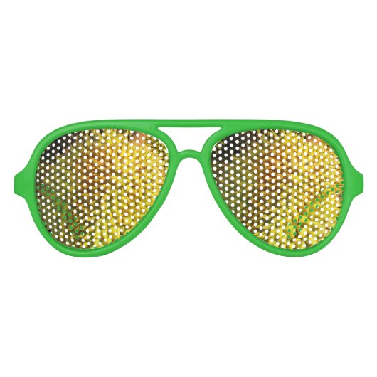 Durian Fruit Aviator Zonnebril (Voorkant)