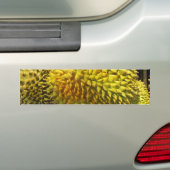 Durian Fruit Bumpersticker (Op auto)