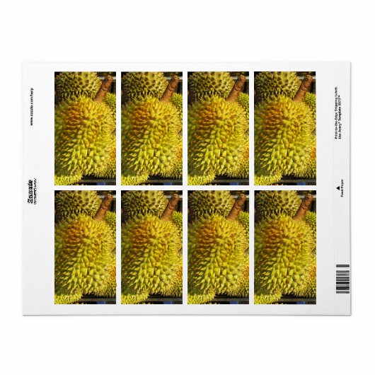 Durian Fruit Etiket (Full Sheet)