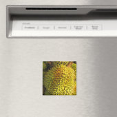 Durian Fruit Magneet (Insitu (Vaatwasser))