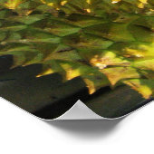 Durian Fruit Poster (Hoek)