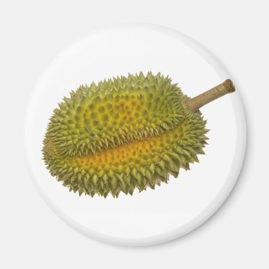 Durian Magneet (Voorkant)