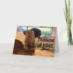 DUS HAPPY EN WIL U FELICITEREN KAART