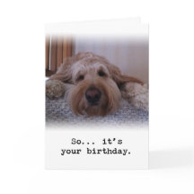 Dus... Het is jouw verjaardag