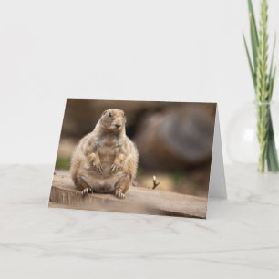 Dus ik ben een beetje korter voor mijn gewichtskaa kaart