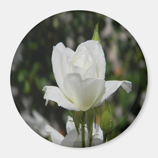 Dus puur..... magneet (Voorkant)