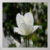 Dus puur... poster (Voorkant)