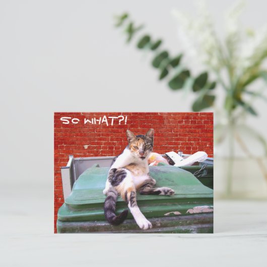 Dus wat briefkaart (Staand voorkant)