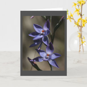 Dus "ZEER JAMMER" VAN JE "VERLIES" Kaart