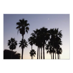 Dusk met Palm Trees Tropische Scene Foto Afdruk