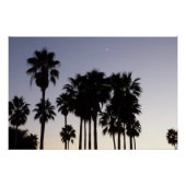 Dusk met Palm Trees Tropische Scene Perfect Poster (Voorkant)
