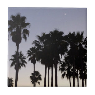 Dusk met Palm Trees Tropische Scene Tegeltje