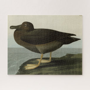 Dusky Albatross van Audubon's Birds of America Legpuzzel