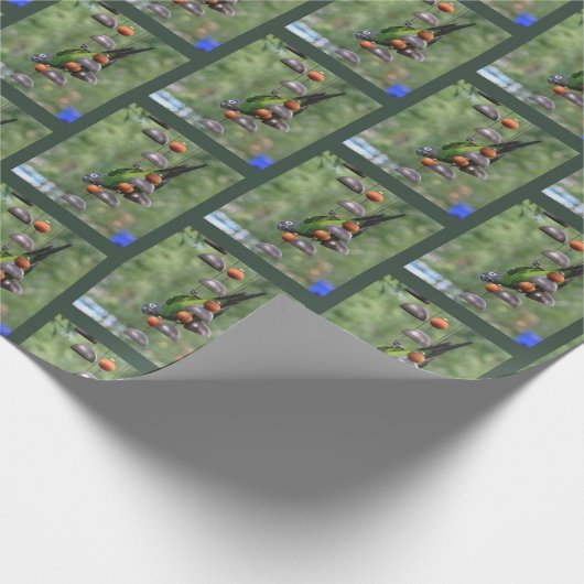 Dusky Conure Parrot, ondersteboven Cadeaupapier (Hoek)