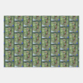 Dusky Conure Parrot, ondersteboven   Inpakpapier Vel (Voorkant)