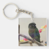 Dusky conure sleutelhanger (voorkant)