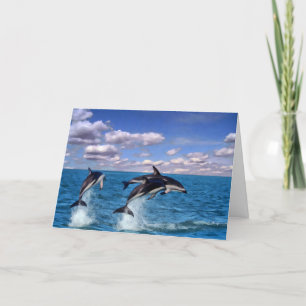 Dusky Dolphins bij Play Bedankkaart