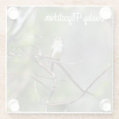 Dusky Flycatcher Glazen Onderzetter (Achterkant)