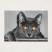 Dusky Gold Bladwijzer Visitekaartje (Achterkant)