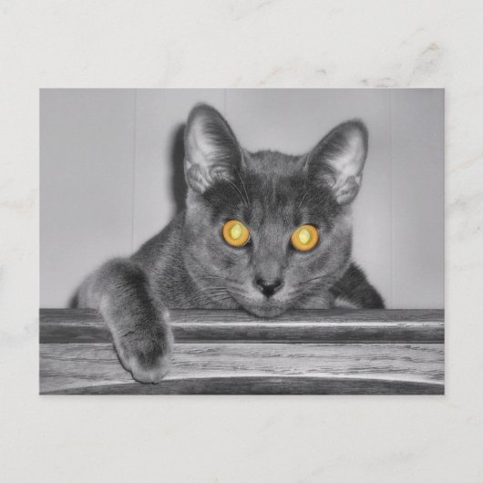 Dusky Gold Briefkaart (Voorkant)