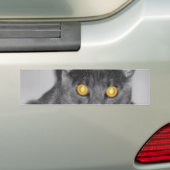Dusky Gold Bumpersticker (Op auto)