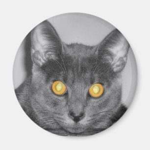 Dusky Gold Magnet Magneet