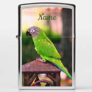 Dusky Headed Conure Parrot, op maat gesneden