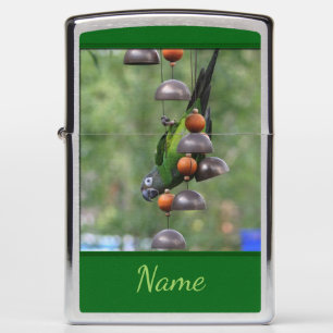 Dusky Headed Conure Parrot, speciaal voor dieren b