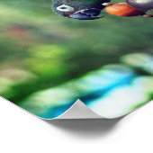 Dusky Headed Parrot onderaan Poster (Hoek)