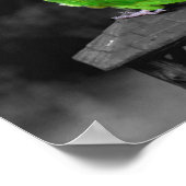 Dusky Headed Parrot Partiële kleur Poster (Hoek)