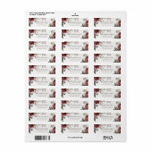 Dusky Red Poinsettia Floral-kerstadres Etiket (Full Sheet)