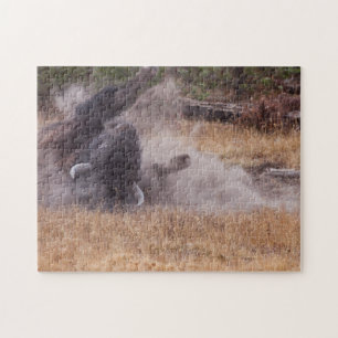 Dust Bathing American Bison Bull Wildlife Puzzle Legpuzzel