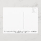 Dust Bowl Boerderij - Western Oklahoma 1936 Briefkaart (Achterkant)