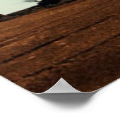 Dust Devil Poster (Hoek)