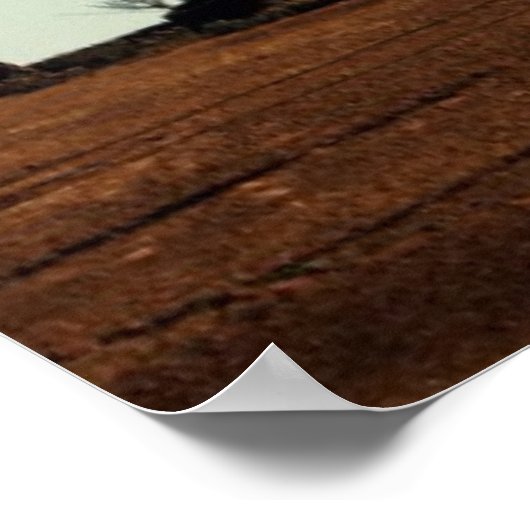 Dust Devil Poster (Hoek)