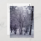 Dusting Briefkaart (Voorkant / Achterkant)