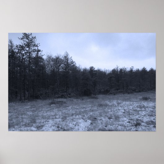 Dusting of Snow at the Bog Poster (Voorkant)