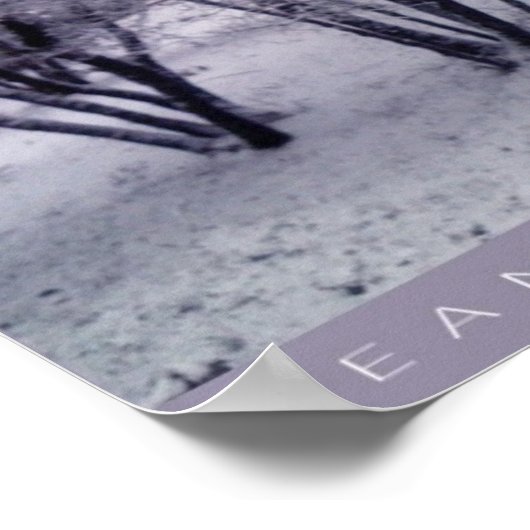 Dusting Poster (Hoek)