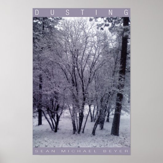 Dusting Poster (Voorkant)