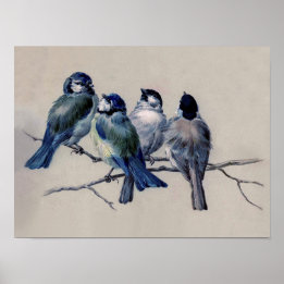 Dusty Blue en Grey Birds op een Waterverf van de T Poster