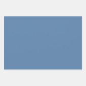 Dusty Blue French Toile Chinoiserie Wrapping Paper (Voorkant 2)