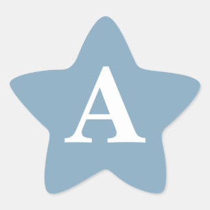 Dusty Blue White Monogrammen Simple Vrijgezellenfe Ster Sticker