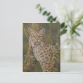 "Dusty" Bobcat Briefkaart (Staand voorkant)