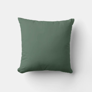 Dusty Eucalyptus Green Solid Color Kussen
