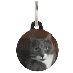 Dusty Huisdierpenning