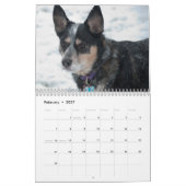Dusty & Polu 2011 Kalender (Feb 2027)