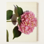 Dusty Rose rose hydrangea mariage (Dos)