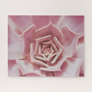 Dusty Rose rose Succulent Plante Jigsaw Puzzle Puz
